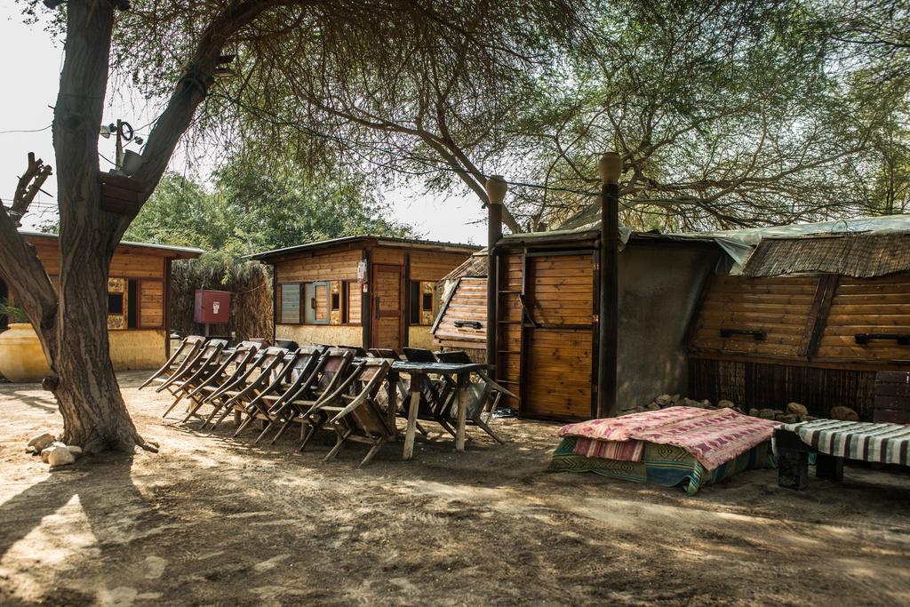 Shkedi'S Camplodge Neot HaKikar Oda fotoğraf