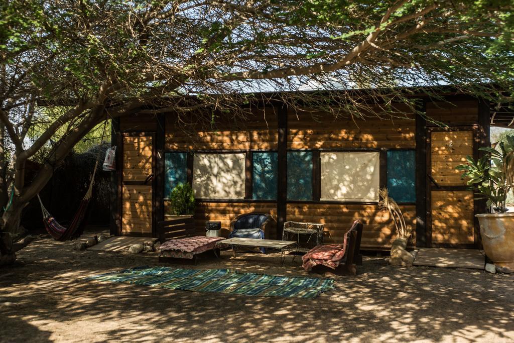 Shkedi'S Camplodge Neot HaKikar Oda fotoğraf