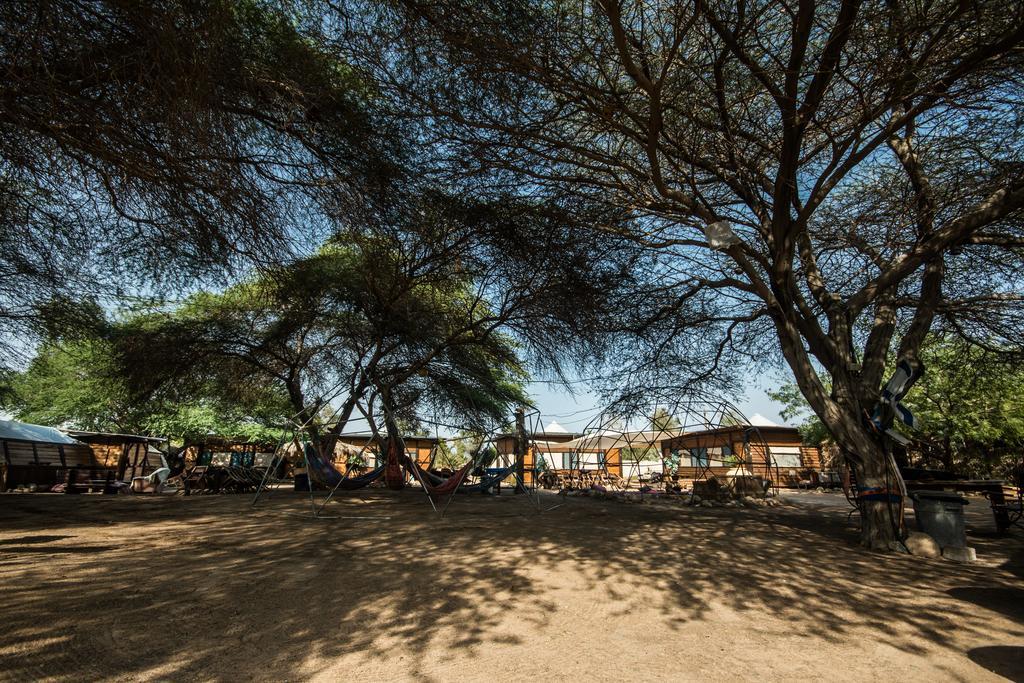 Shkedi'S Camplodge Neot HaKikar Dış mekan fotoğraf