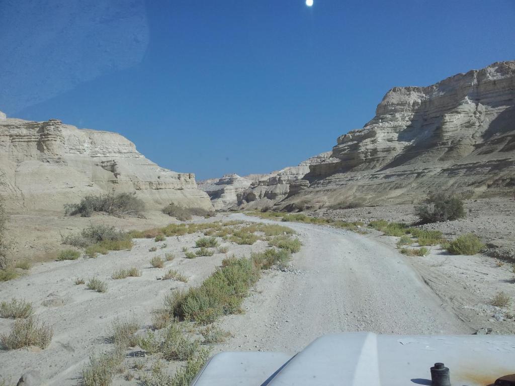 Shkedi'S Camplodge Neot HaKikar Dış mekan fotoğraf
